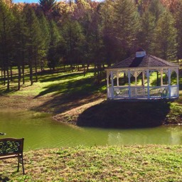 Farm View Ranch pond