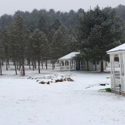 Farm View Ranch winter adventures