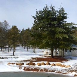 Farm View Ranch winter adventures