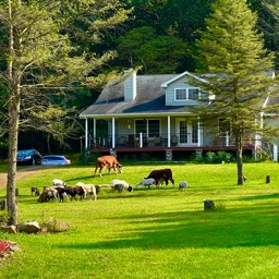 Farm View Ranch