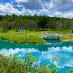 Farm View Ranch pond views